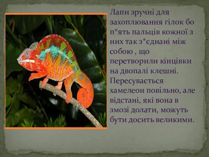 Лапи зручні для захоплювання гілок бо п*ять пальців кожної з них так