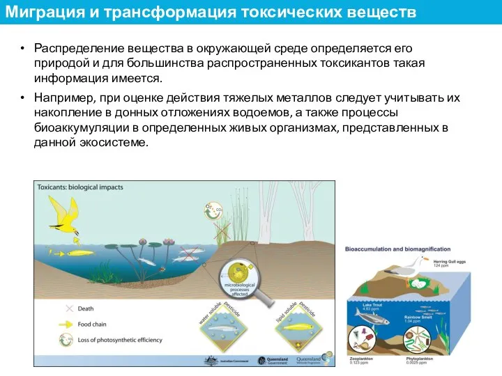 Распределение вещества в окружающей среде определяется его природой и для большинства распространенных