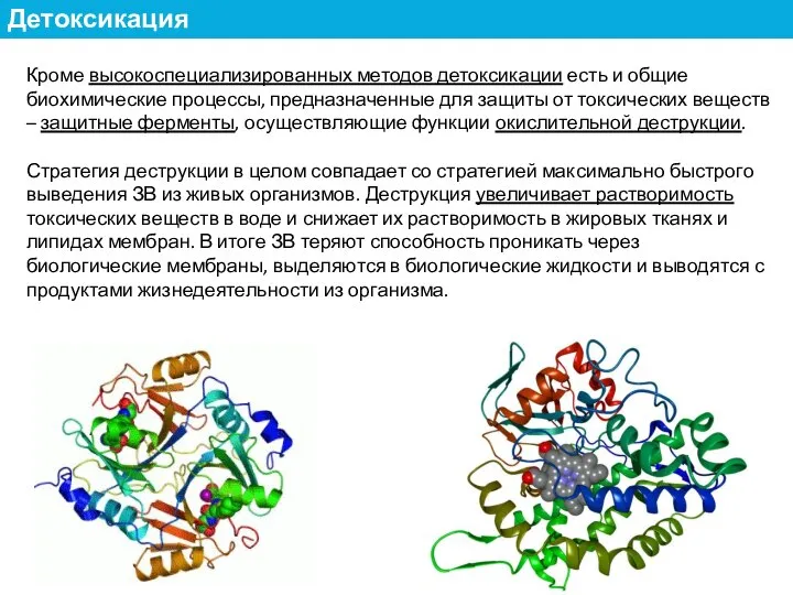 Кроме высокоспециализированных методов детоксикации есть и общие биохимические процессы, предназначенные для защиты