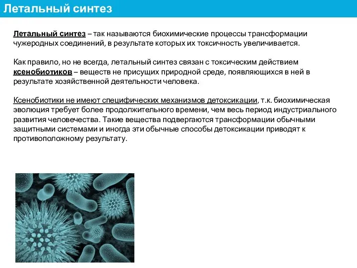 Летальный синтез – так называются биохимические процессы трансформации чужеродных соединений, в результате