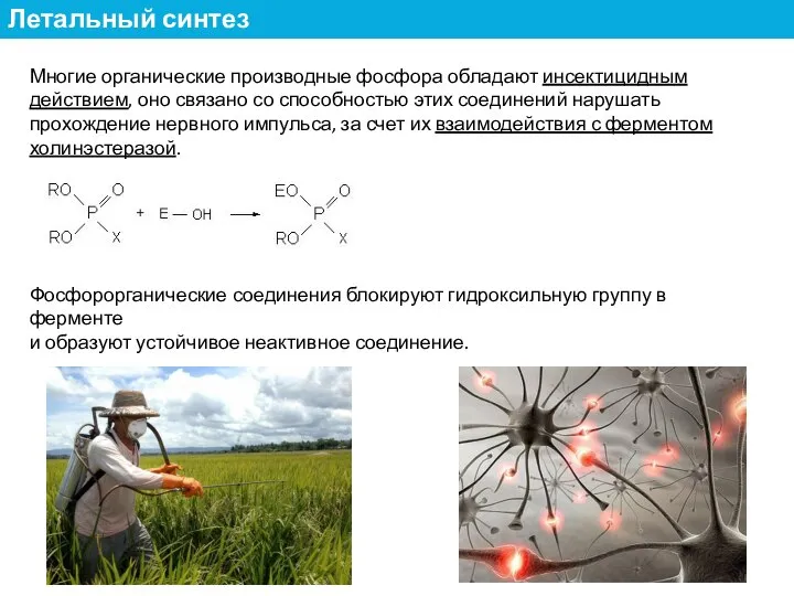 Многие органические производные фосфора обладают инсектицидным действием, оно связано со способностью этих