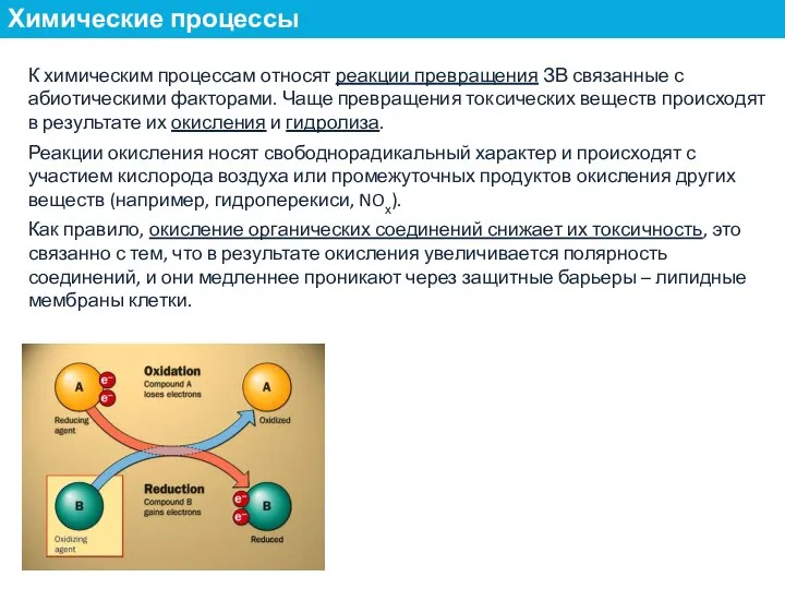 К химическим процессам относят реакции превращения ЗВ связанные с абиотическими факторами. Чаще