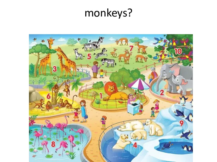 monkeys?