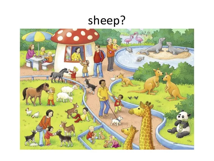 sheep?