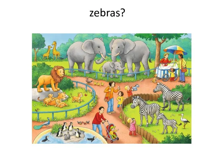 zebras?