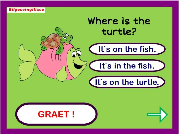 GRAET ! It`s on the turtle. It`s in the fish. It`s on