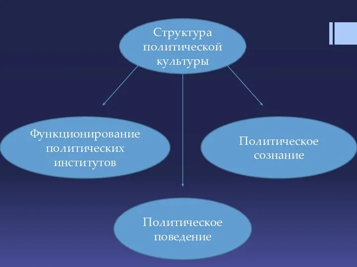 Структура политической культуры Функционирование политических институтов Политическое поведение Политическое сознание