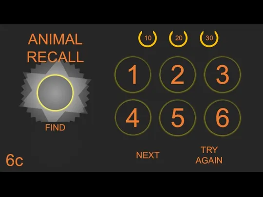 NEXT FIND ANIMAL RECALL 6 5 4 3 2 1 20 30 10 6c TRY AGAIN