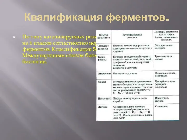 Квалификация ферментов. По типу катализируемых реакций ферменты подразделяются на 6 классов согластностно