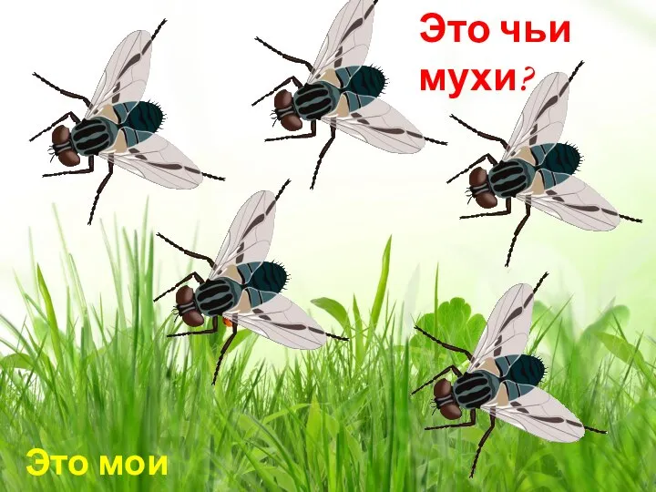 Это мои мухи Это чьи мухи?