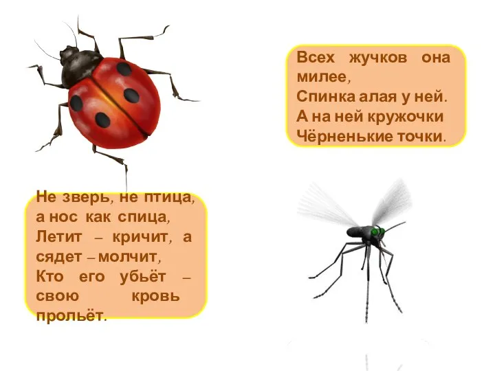 Всех жучков она милее, Спинка алая у ней. А на ней кружочки