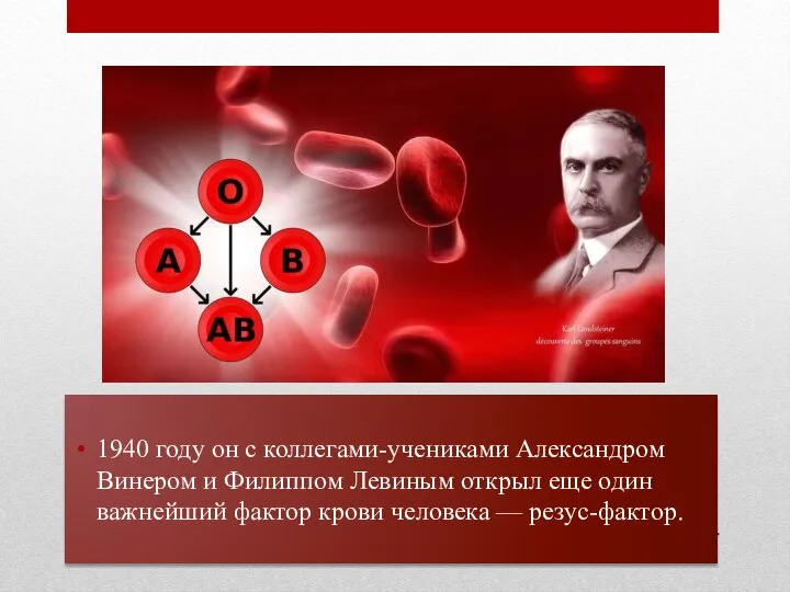 1940 году он с коллегами-учениками Александром Винером и Филиппом Левиным открыл еще