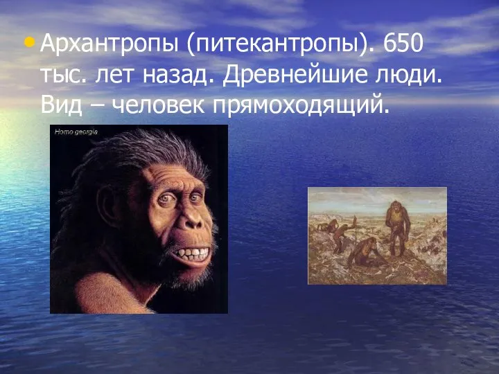 Архантропы (питекантропы). 650 тыс. лет назад. Древнейшие люди. Вид – человек прямоходящий.