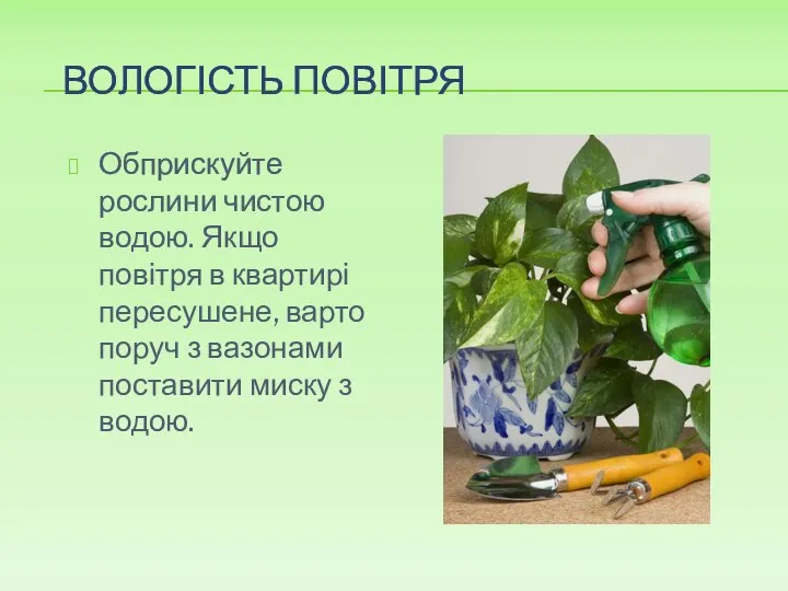 ВОЛОГІСТЬ ПОВІТРЯ Обприскуйте рослини чистою водою. Якщо повітря в квартирі пересушене, варто