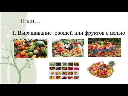 Идеи… 1. Выращивание овощей или фруктов с целью их реализации.