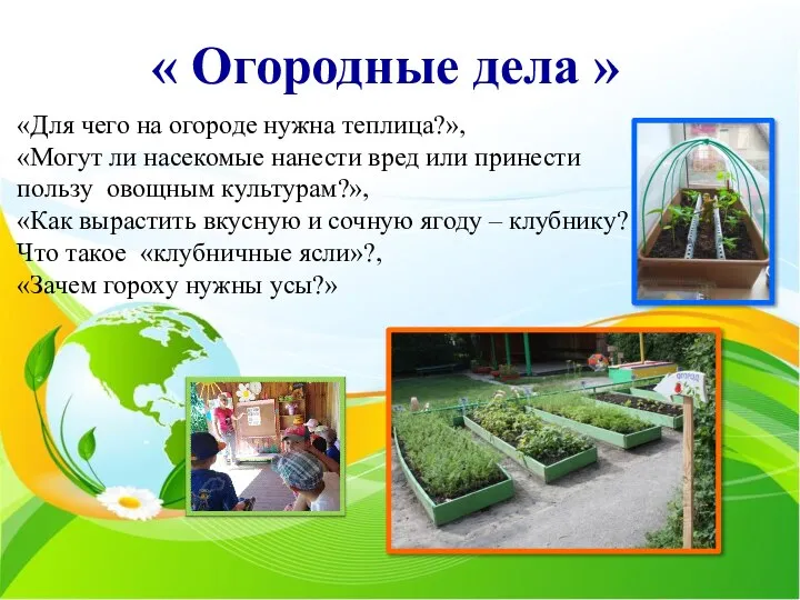 « Огородные дела » «Для чего на огороде нужна теплица?», «Могут ли