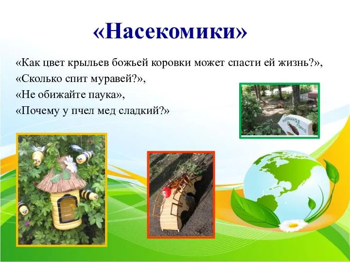 «Насекомики» «Как цвет крыльев божьей коровки может спасти ей жизнь?», «Сколько спит