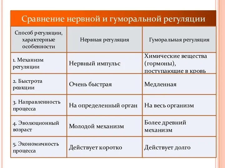 Сравнение нервной и гуморальной регуляции Способ регуляции, характерные особенности Нервная регуляция Гуморальная