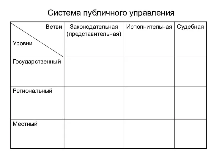 Система публичного управления