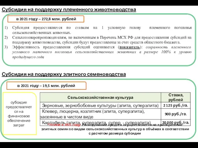 Субсидия предоставляется по ставкам на 1 условную голову племенного поголовья сельскохозяйственных животных.