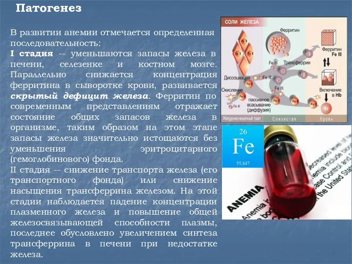 Патогенез В развитии анемии отмечается определенная последовательность: I стадия -- уменьшаются запасы