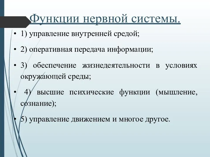 Функции нервной системы. 1) управление внутренней средой; 2) оперативная передача информации; 3)