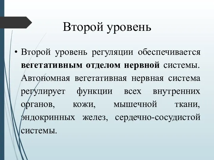 Второй уровень Второй уровень регуляции обеспечивается вегетативным отделом нервной системы. Автономная вегетативная