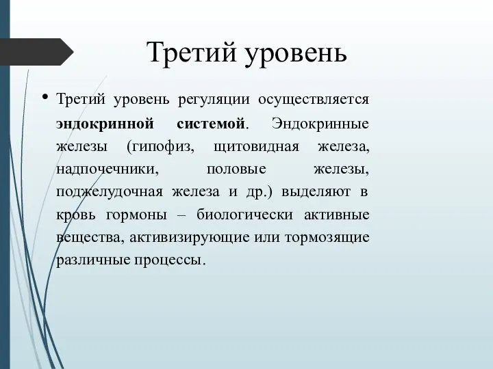 Третий уровень Третий уровень регуляции осуществляется эндокринной системой. Эндокринные железы (гипофиз, щитовидная