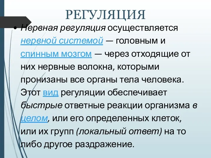 РЕГУЛЯЦИЯ Нервная регуляция осуществляется нервной системой — головным и спинным мозгом —