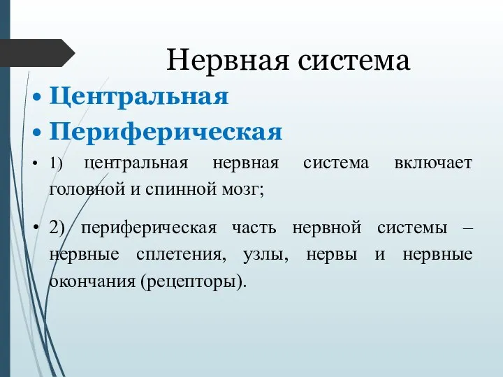 Нервная система Центральная Периферическая 1) центральная нервная система включает головной и спинной