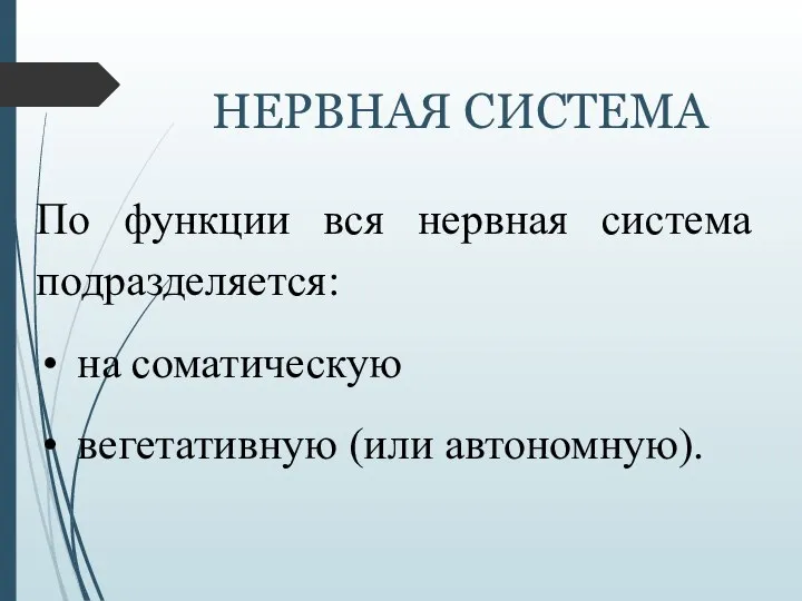 НЕРВНАЯ СИСТЕМА По функции вся нервная система подразделяется: на соматическую вегетативную (или автономную).