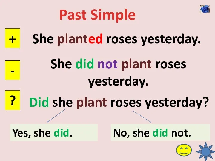 Past Simple She planted roses yesterday. + - ? She did not