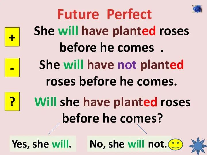 Future Perfect She will have planted roses before he comes . +