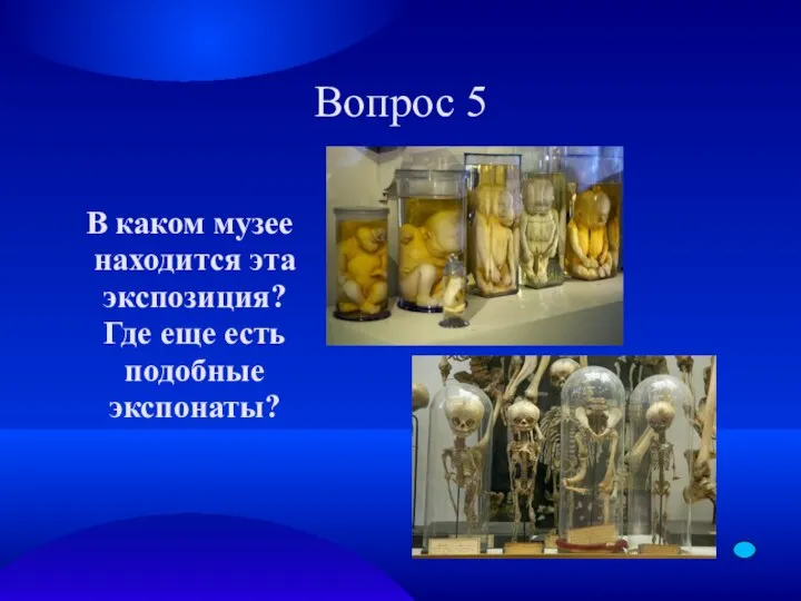 Вопрос 5 В каком музее находится эта экспозиция? Где еще есть подобные экспонаты?