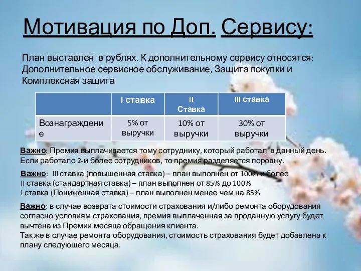 Мотивация по Доп. Сервису: План выставлен в рублях. К дополнительному сервису относятся: