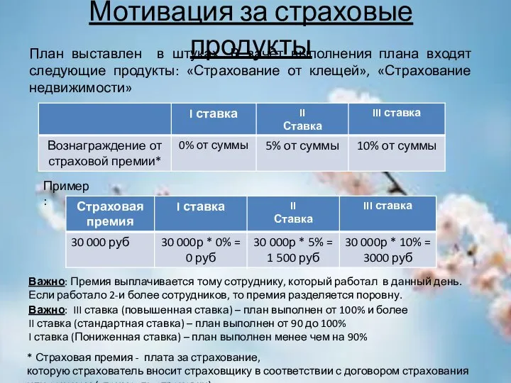 Мотивация за страховые продукты План выставлен в штуках. В зачёт выполнения плана