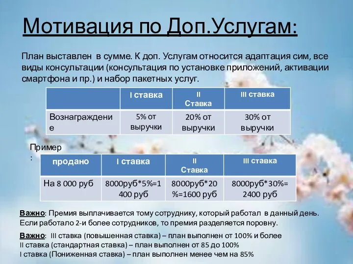 Мотивация по Доп.Услугам: План выставлен в сумме. К доп. Услугам относится адаптация