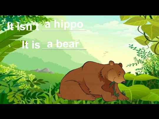 It isn’t It is a hippo a bear Nataliia Alekseeva