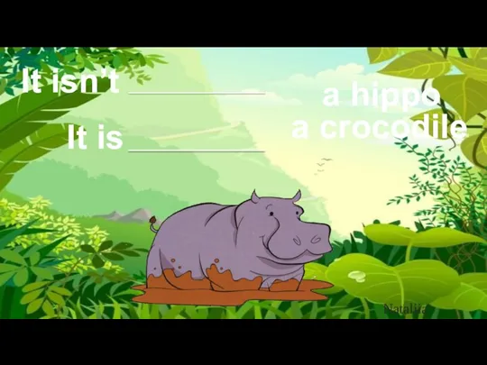 It isn’t It is a crocodile a hippo Nataliia Alekseeva