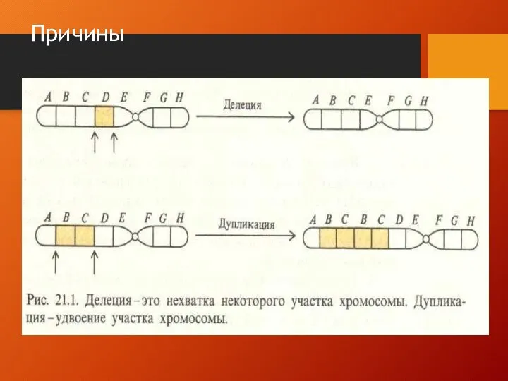 Причины