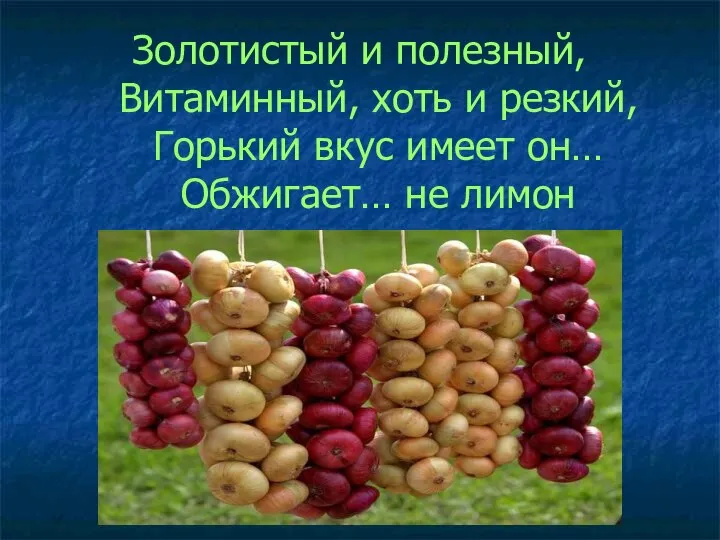 Золотистый и полезный, Витаминный, хоть и резкий, Горький вкус имеет он… Обжигает… не лимон