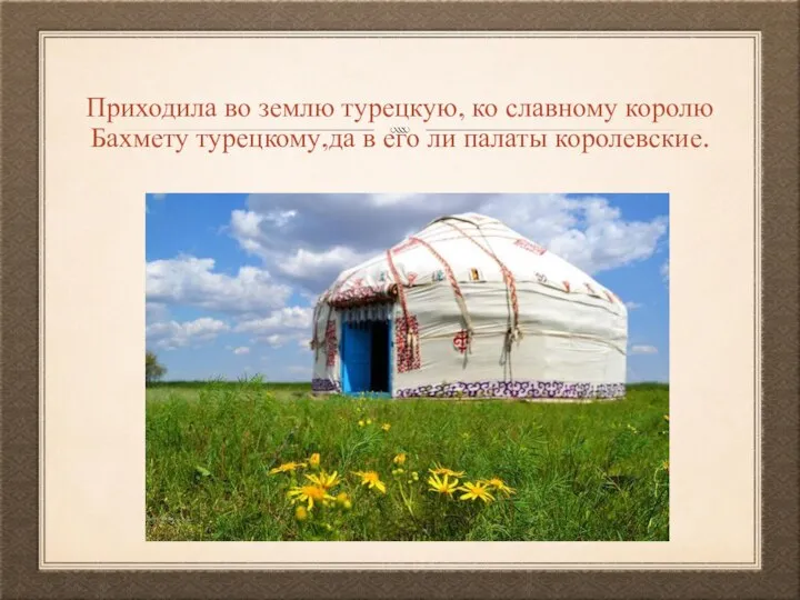 Приходила во землю турецкую, ко славному королю Бахмету турецкому,да в его ли палаты королевские.