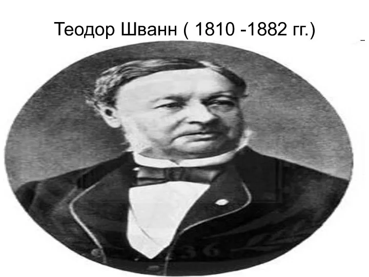 Теодор Шванн ( 1810 -1882 гг.)