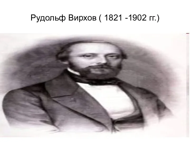 Рудольф Вирхов ( 1821 -1902 гг.)