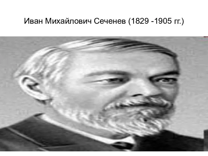 Иван Михайлович Сеченев (1829 -1905 гг.)