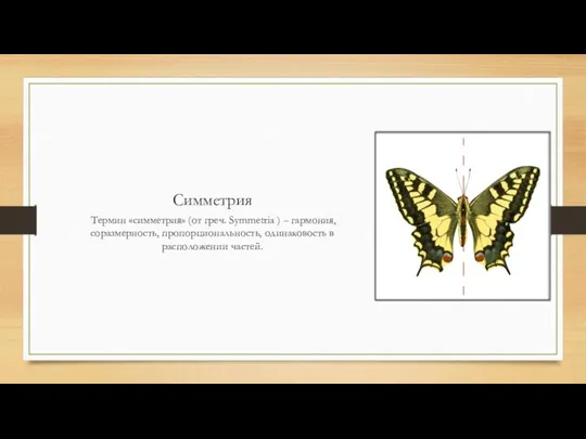 Симметрия Термин «симметрия» (от греч. Symmetria ) – гармония, соразмерность, пропорциональность, одинаковость в расположении частей.