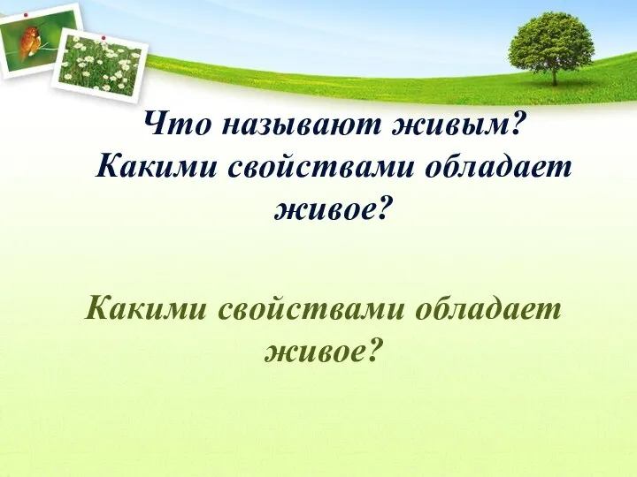 Что называют живым? Какими свойствами обладает живое? Какими свойствами обладает живое?