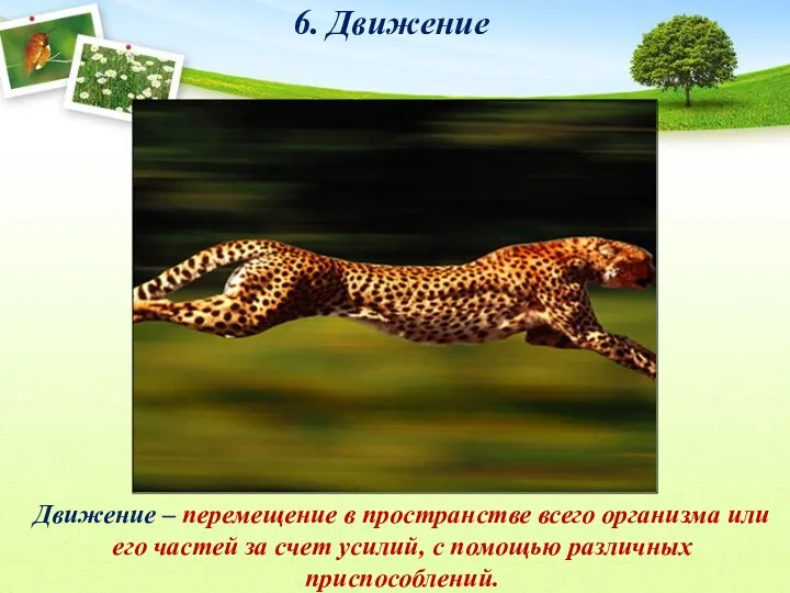 6. Движение Движение – перемещение в пространстве всего организма или его частей