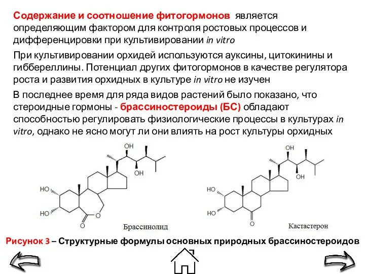Рисунок 3 – Структурные формулы основных природных брассиностероидов Содержание и соотношение фитогормонов