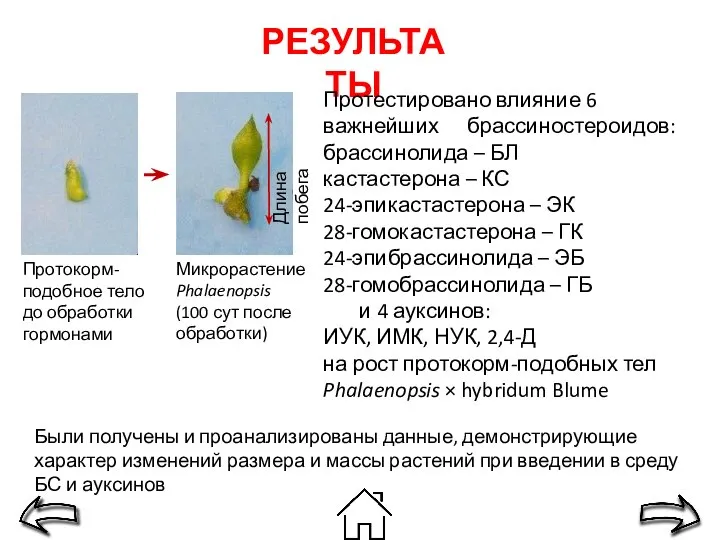 РЕЗУЛЬТАТЫ Протестировано влияние 6 важнейших брассиностероидов: брассинолида – БЛ кастастерона – КС